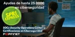 Ayudas spri ciberseguridad
